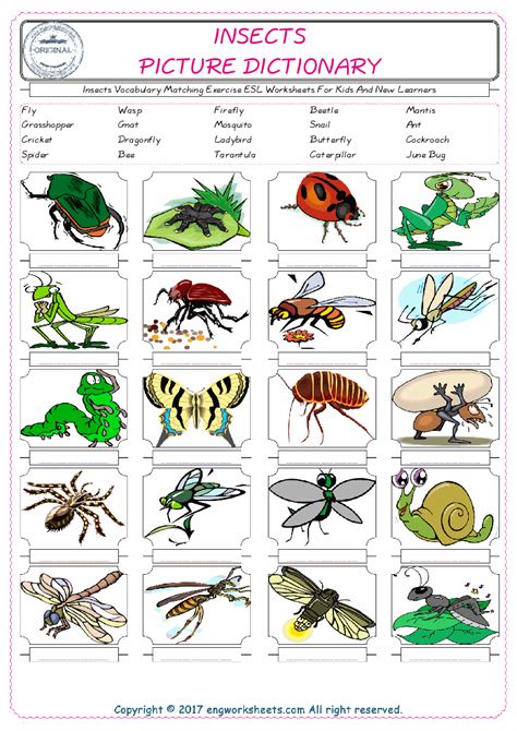 Free Printable Worksheets For Teachers & Parents Wildlife And Science