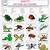 insect quiz printable