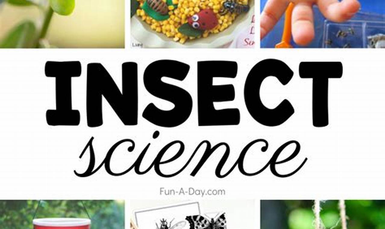 insect science experiments for preschoolers