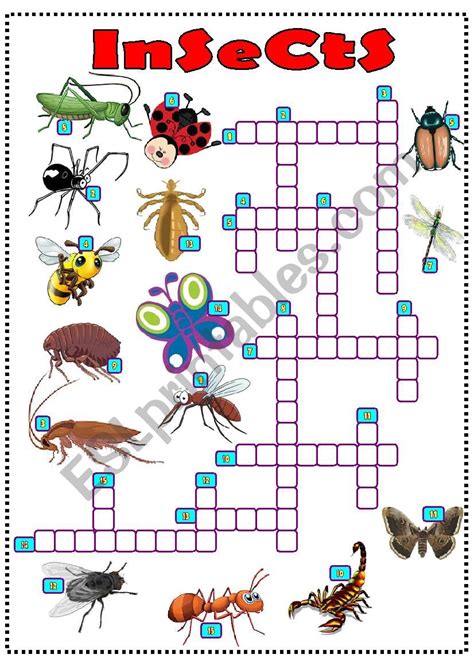 insect 5 letters crossword clue