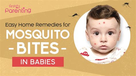 Insect Bite Infant Treatment