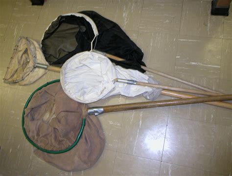 Insect Collecting Net Use