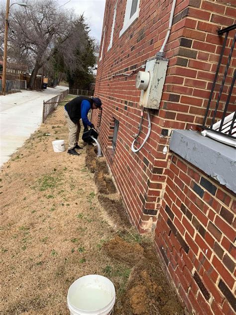 Insect Control Alexandria Va