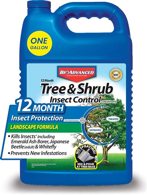Insect Control For Trees And Shrubs