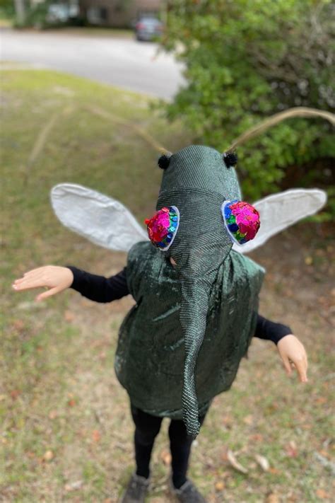 Insect Costumes Diy