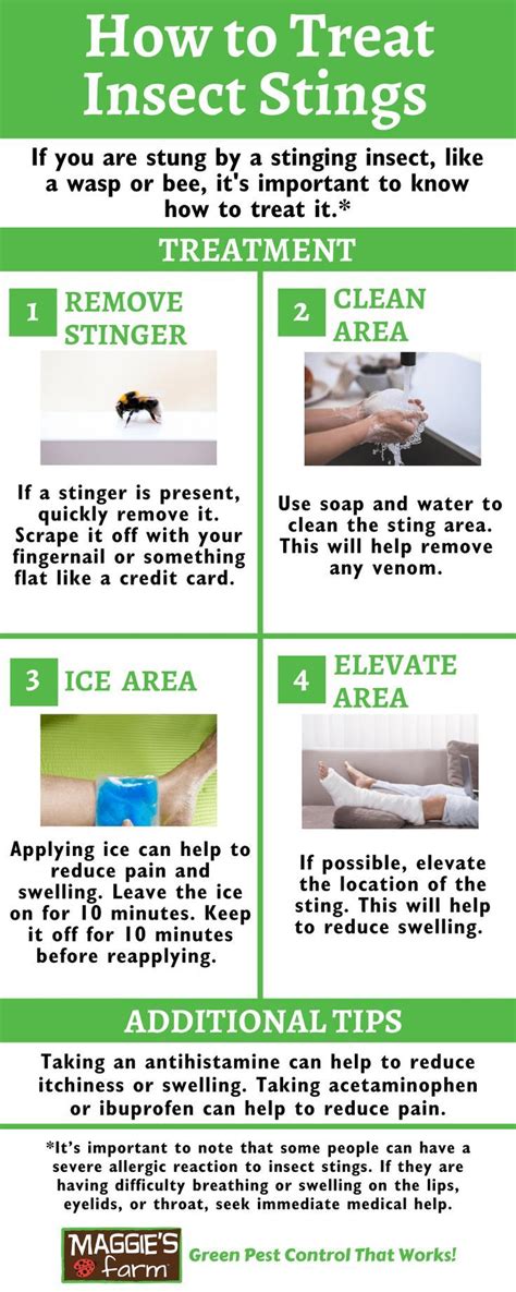 Effective Insect Sting Treatment for Immediate Relief