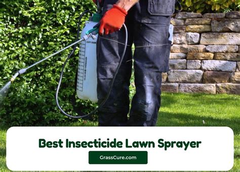 Insecticide For Sprayer