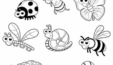 Insectos e insectos para colorear libro vector, gráfico vectorial
