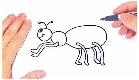 ᐈ Dibujos de Insectos【TOP】Insectos faciles de colorear