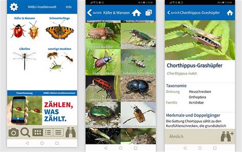 NABU Insektenwelt for Android APK Download