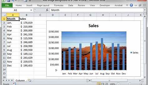 Insert Background Image In Excel Chart Video How To Add A 2010