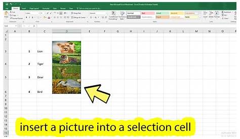 Insert Image In Excel Spreadsheet Cell Picture Automatically