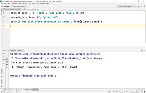 insert code in python