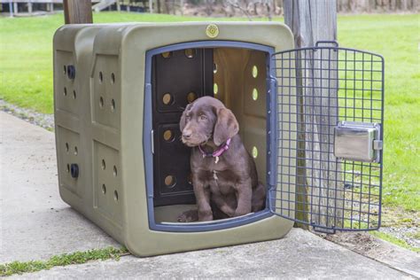 Insert For Dog Kennel