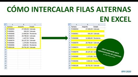 Como colocar o insertar filas y columnas nuevas en excel YouTube
