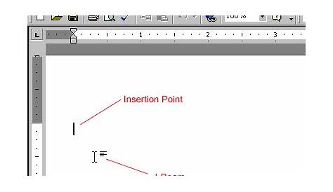 Microsoft Word 2007 Moving The Insertion Point Around A