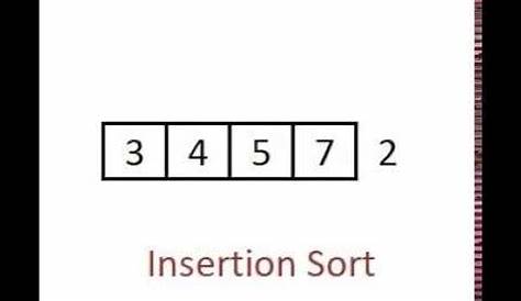 Insertion Sort Animation Algorithm YouTube