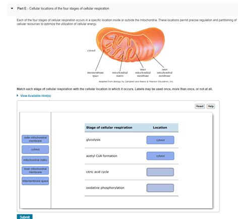 inside information About Each place