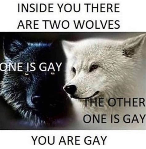 inside you there are 2 wolves one is gay