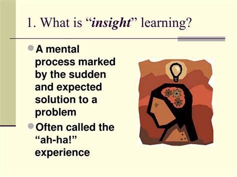 insight learning examples in humans