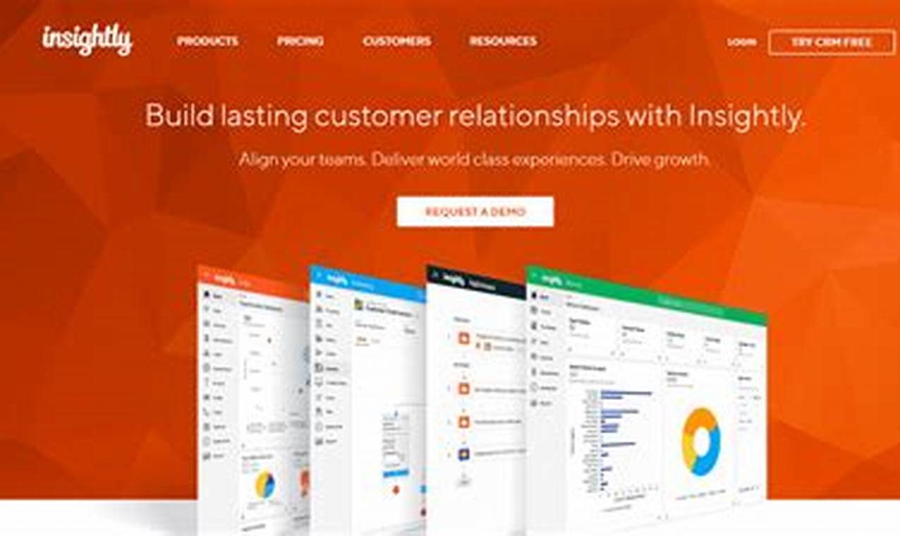 Insightly CRM: Centralize Customer Data and Streamline Sales Processes