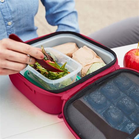 Top 10 Best Insulated Lunch Boxes Lunch Boxes That Keep Food Warm