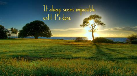 Inspiring Tree Wallpaper