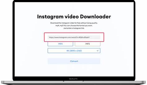 Instagram Video Downloader Online Mp3 To INTAGEM