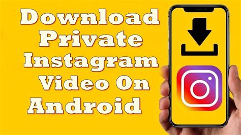 instagram private video downloader online