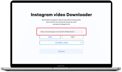 instagram video downloader online mp3