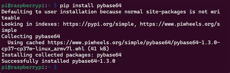 install base64 python