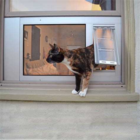 Install Cat Door In Window