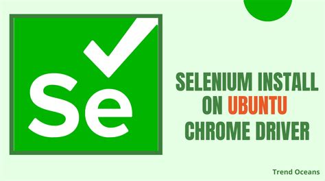 install chrome driver for selenium linux