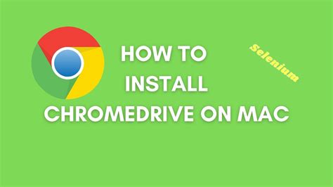 install chromedriver for selenium mac