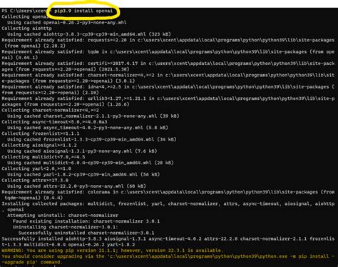 install python api