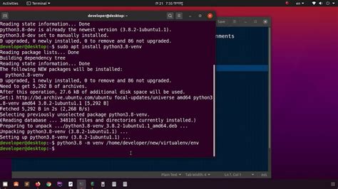 install python3-venv