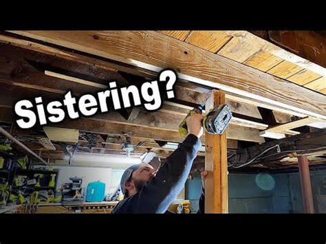 persianwildlife.us:install sister wood and the roof joists