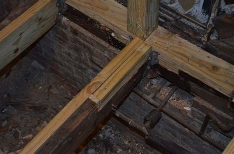 install sister wood and the roof joists