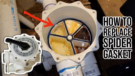 Installing Spider Gasket Pool Filter