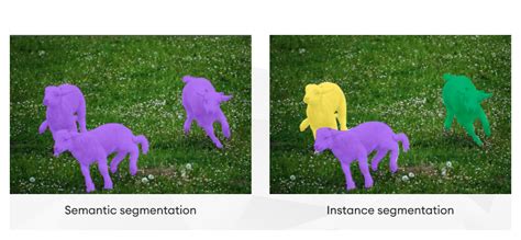 instance segmentation and semantic segmentation