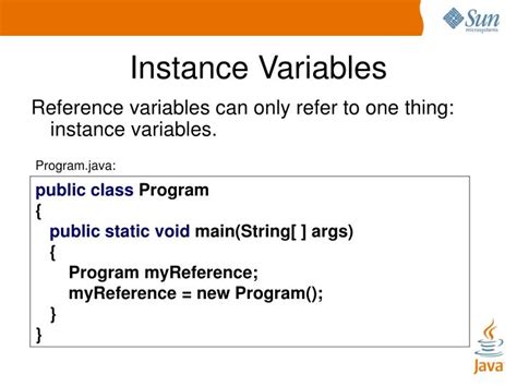 instance variable example