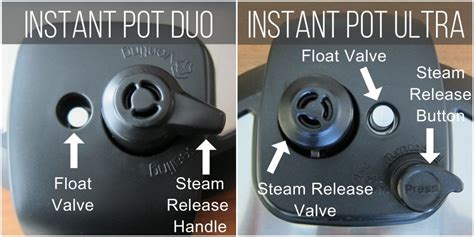 Instant Pot Duo Evo Plus Problems