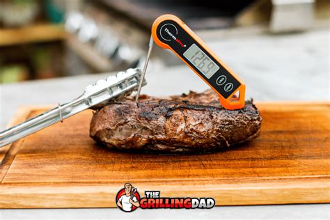 Instant Read Meat Thermometer Reddit