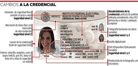 instituto federal electoral id