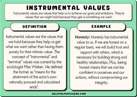 instrumental role meaning