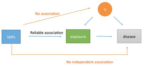 Instrumental Variable Analysis Randomization