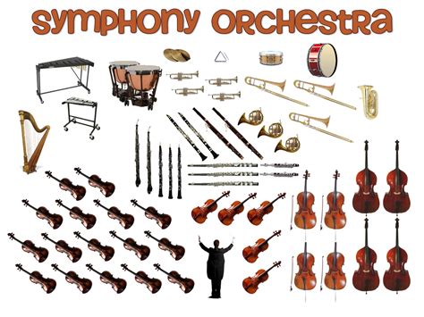 instruments list in orchestra