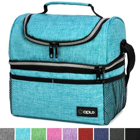 9 Cans Small Insulated Lunch Bag, Mini Thermal Portable Cooler Lunch