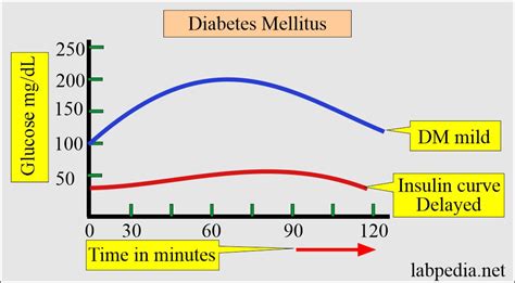 Insulin Production Lab Levels