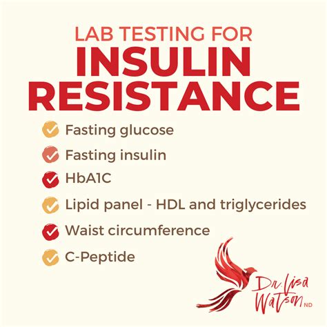 Unlock Your Health: What is an Insulin Resistance Test?